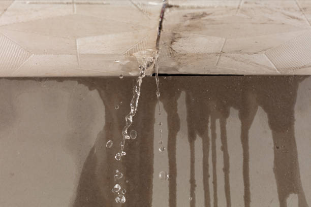 Professional Flood Damage Cleanup technician working in Aledo, TX
